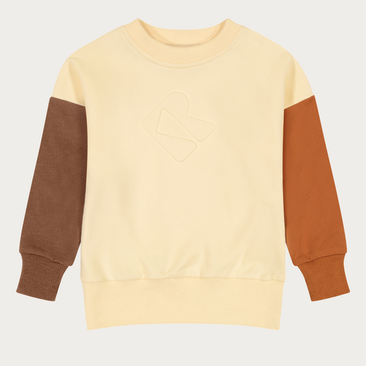 Colorblock Boys Pullover Sweatshirt